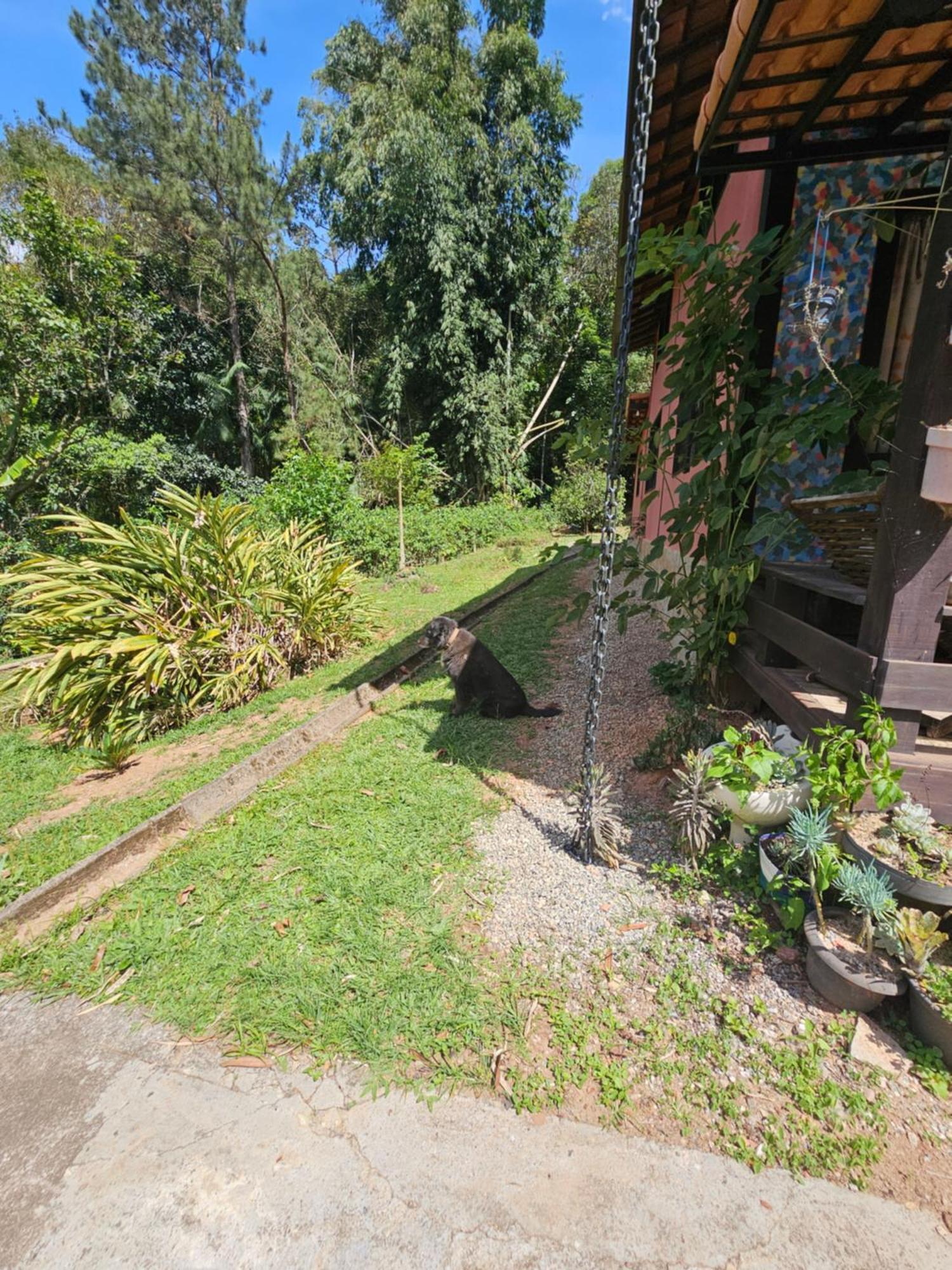 Suites Casinha Do Alto Da Bocaina Sao Pedro da Serra  Buitenkant foto